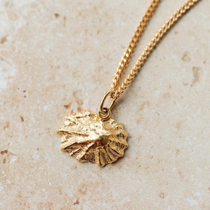 18ct Gold Vermeil Shell Pendant Necklace, Dainty Limpet Shell,  Nature Lover Gift, Handmade in the UK