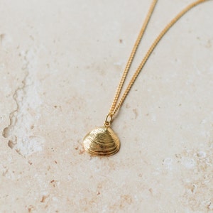 Gold Shell Pendant Necklace, Venus Clam Shell,  Nature Lover Gift, Handmade in the UK