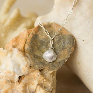 Puede incluir: Un collar con colgante de concha plateada. El colgante tiene forma de concha texturizada y detallada. La cadena del collar es de estilo eslabones delicados. El collar se muestra sobre una superficie de piedra rugosa y texturizada, con un fondo neutro.