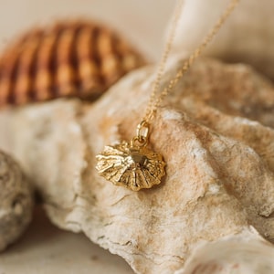 18ct Gold Vermeil Shell Pendant Necklace, Dainty Limpet Shell,  Teacher Gift, Handmade in the UK