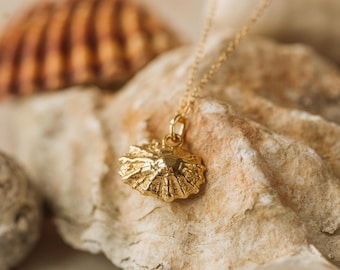 18ct Gold Vermeil Shell Pendant Necklace, Dainty Limpet Shell,  Nature Lover Gift, Handmade in the UK