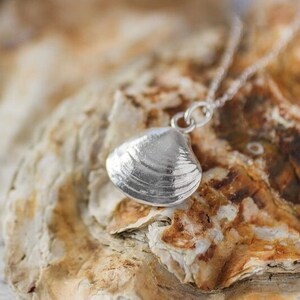 Real clam shell necklace clearance