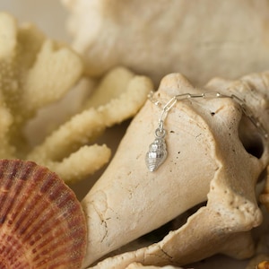 May include: A silver seashell pendant necklace. The pendant is a detailed miniature of a conch shell. The necklace is displayed on a light-colored seashell, with other seashells and coral in the background. The necklace chain is a delicate link style.