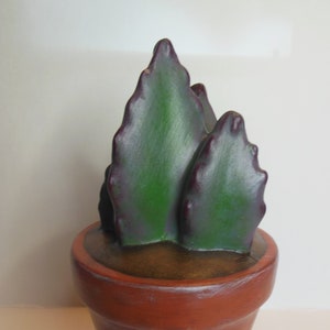 May include: A small terracotta pot with a green and purple succulent plant. The pot has a rustic, distressed look.