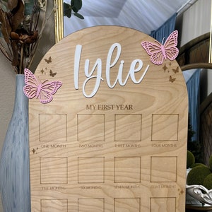 Schmetterlings-Meilensteinbrett Monatliche Meilenstein-Fototafel Wunderliche Geburtstags-Fotoanzeige Ein Jahr des Schmetterlings-Thema-Baby-Meilensteinbretts