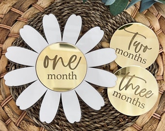 Acrylic Baby Milestone Marker Daisy Milestone Discs Interchangeable Milestone Card Baby Photo Prop Daisy Baby Girl Milestone Set First Year