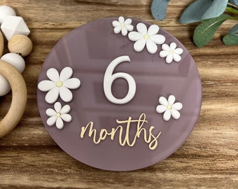 Acrylic Baby Milestone Marker, Baby Milestone Discs, Interchangeable Milestone Card, Baby Photo Prop, Baby’s First Year, Baby Shower Gift