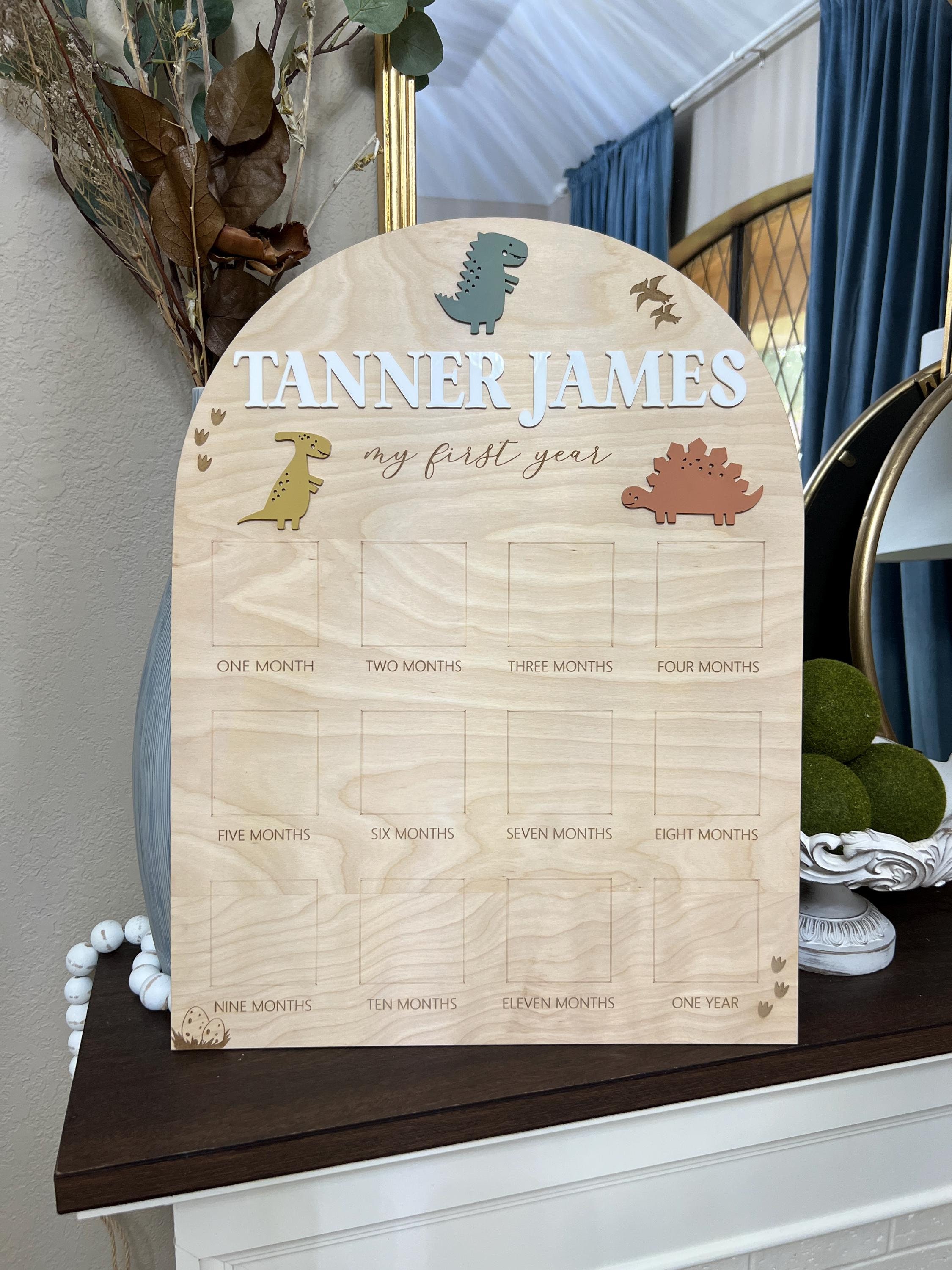 Dinosaur First Birthday Milestone Board: Wooden Monthly Photo Prop - Etsy