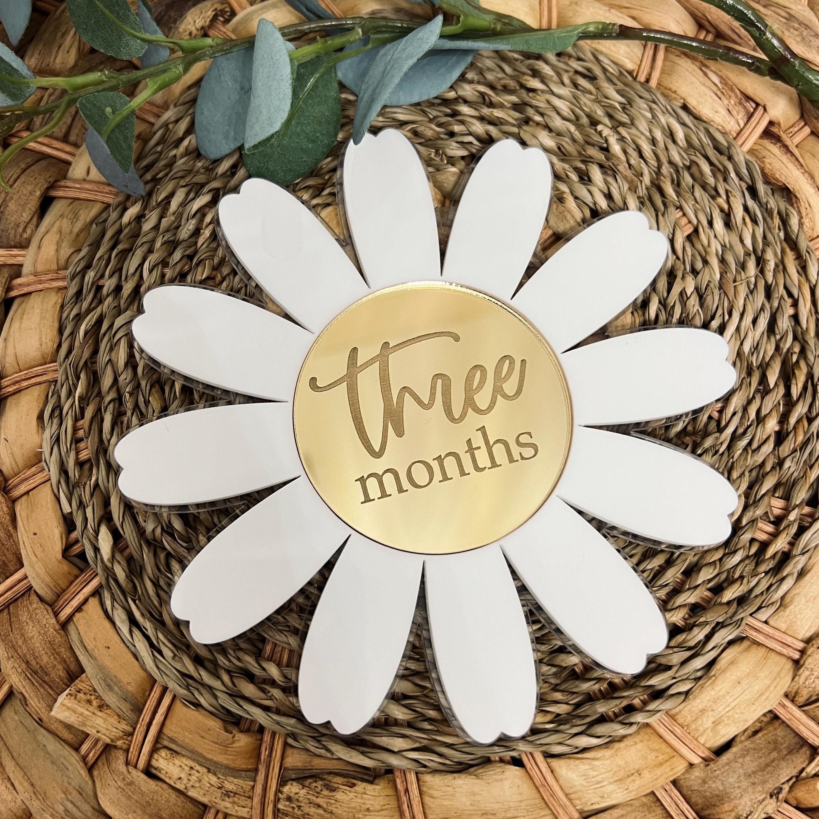 Acrylic Baby Milestone Marker Daisy Milestone Discs Interchangeable ...