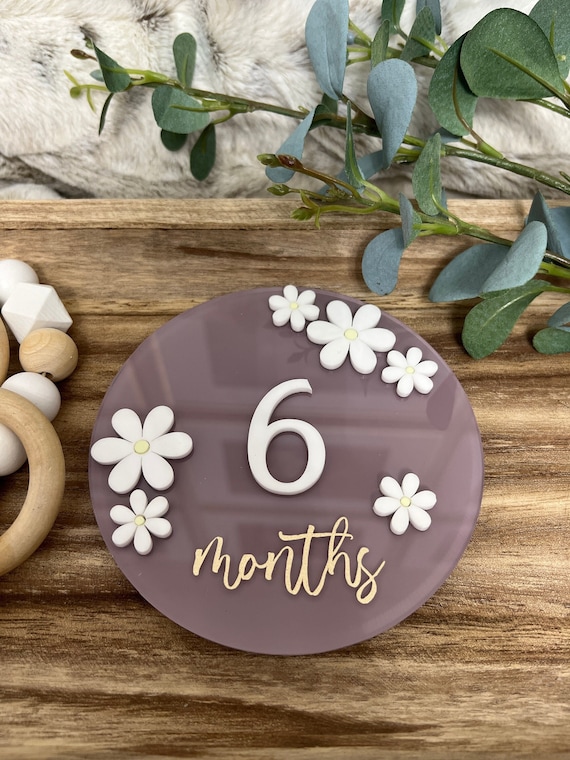 Acrylic Baby Milestone Marker, Baby Milestone Discs, Interchangeable Milestone Card, Baby Photo Prop, Baby’s First Year, Baby Shower Gift