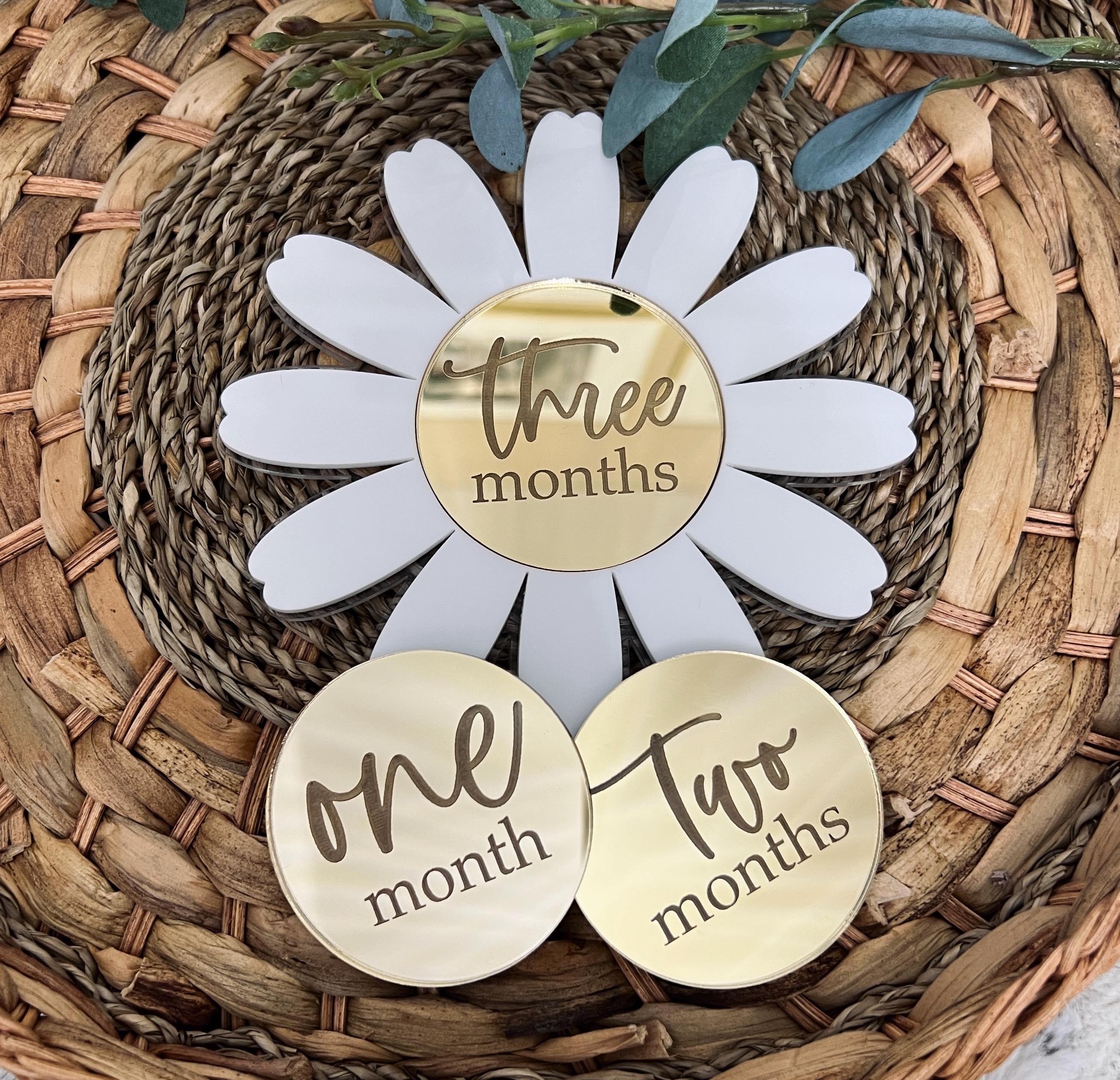 Acrylic Baby Milestone Marker Daisy Milestone Discs Interchangeable ...