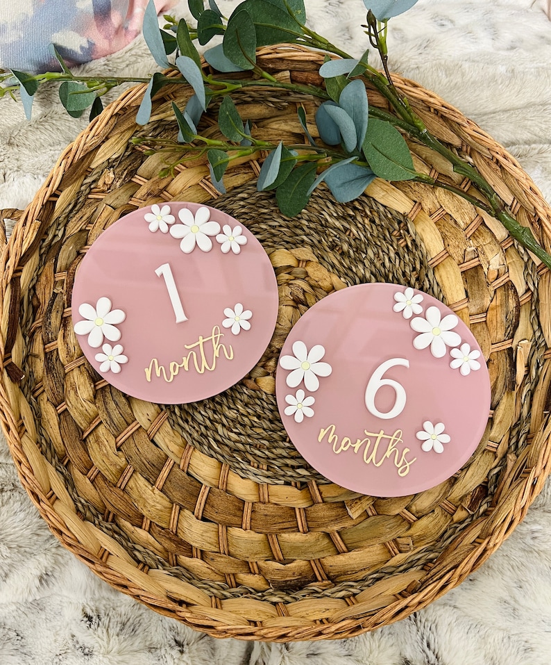 May include: Two pink round baby milestone markers with white flowers and gold lettering. The first marker says "1 month" and the second marker says "6 months".