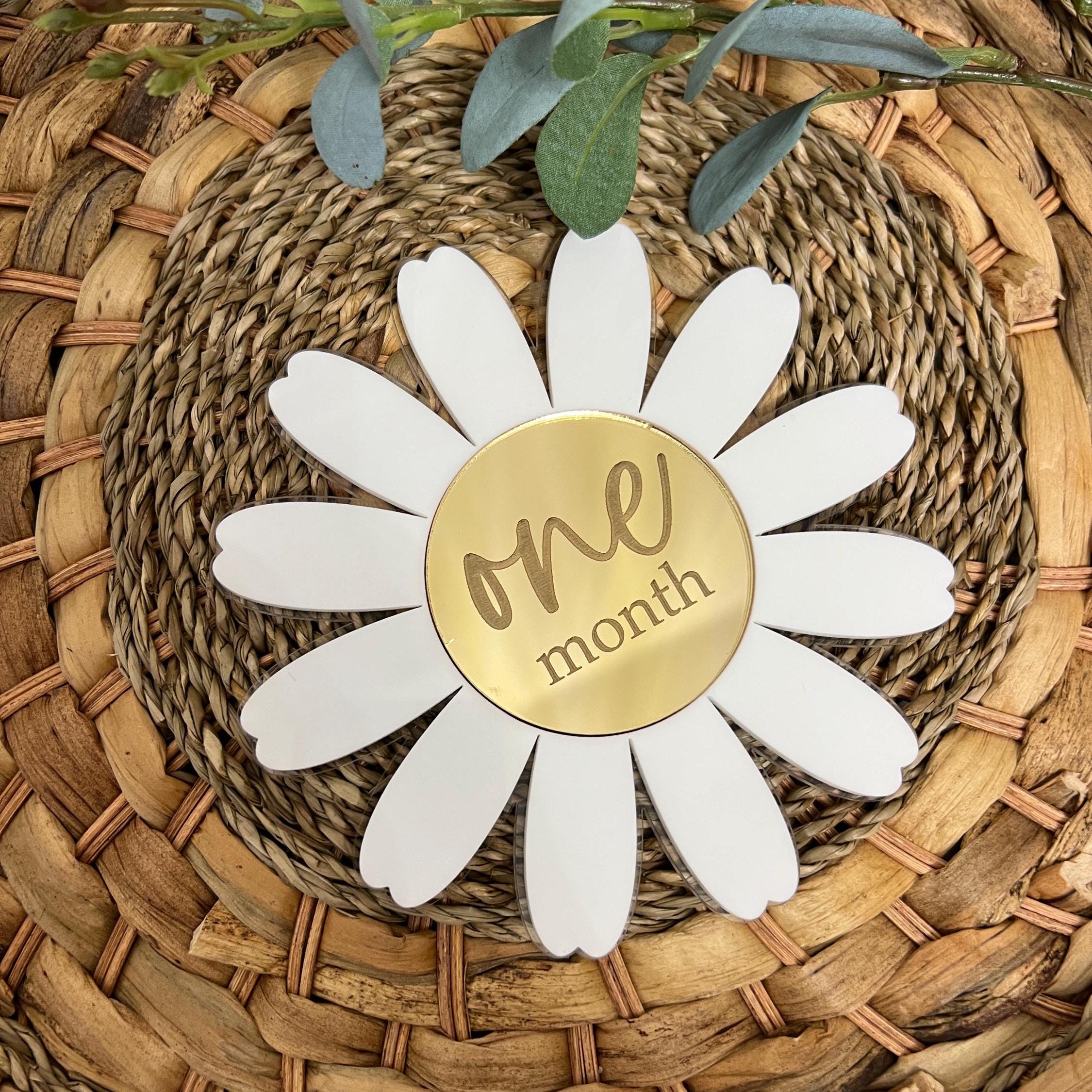 Acrylic Baby Milestone Marker Daisy Milestone Discs Interchangeable ...