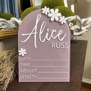 Acrylic Baby Birth Stat Sign, Baby Girl Hospital Announcement Plaque, Personalized Baby Keepsake, Newborn Photo Prop, Baby Name Reveal Sign