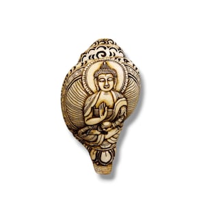 Può includere: Una conchiglia bianca con una scultura dettagliata di un Buddha seduto. La conchiglia è decorata con motivi intricati e il Buddha è raffigurato con un'espressione serena.
