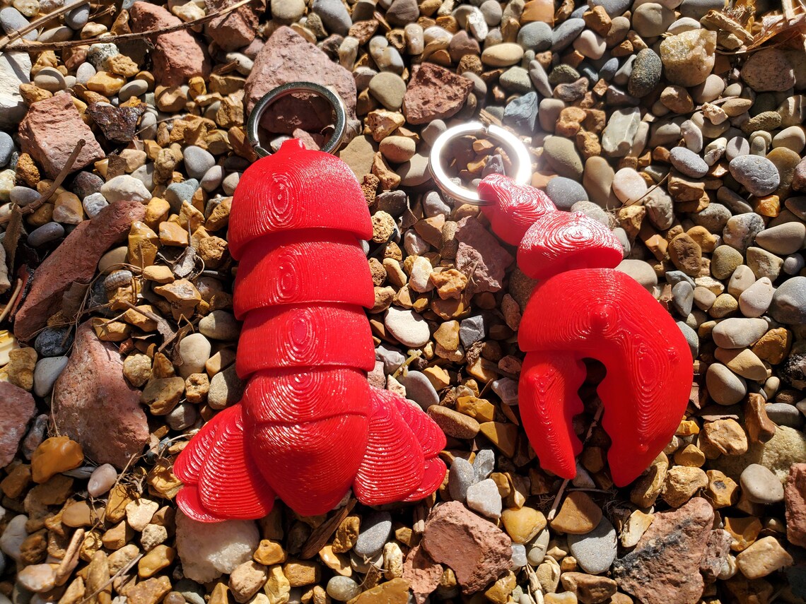 3D Printed Flexi Lobster Claw and Tail Keyring Trinkets Etsy