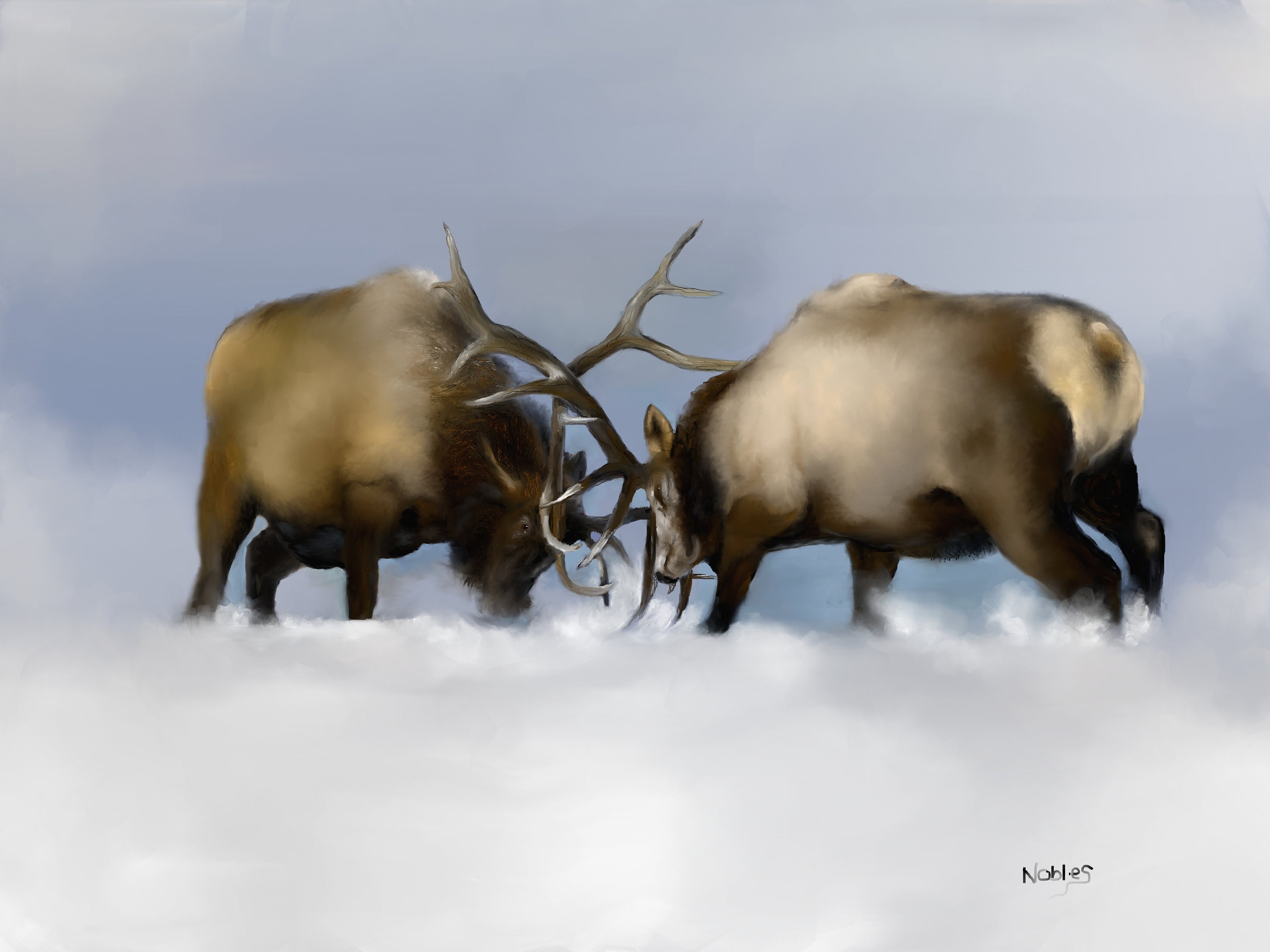 Two Bull Elk Fighting 'the Big Duel' Original Artwork Etsy