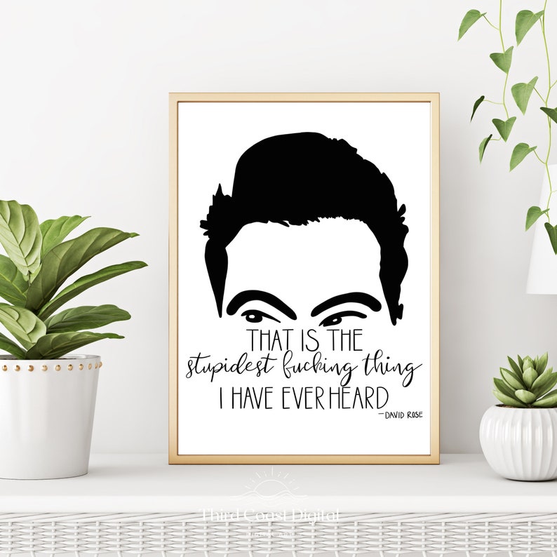 Pu&ograve; includere: Stampa d'arte stampabile in bianco e nero con una silhouette di David Rose dello show televisivo Schitt's Creek. La citazione "That is the stupidest f***ing thing I have ever heard" &egrave; scritta sotto la silhouette. La citazione &egrave; attribuita a David Rose.