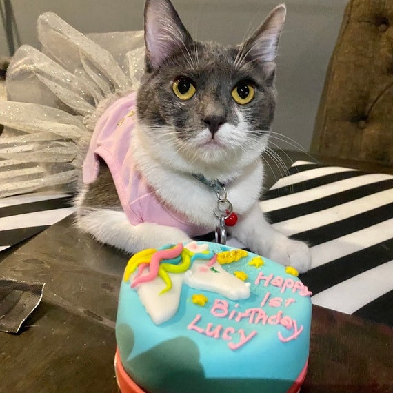 Buy Cat Birthday Cake Kitty Cat Cake With Unicorn Happy Birthday Online in India - Etsy