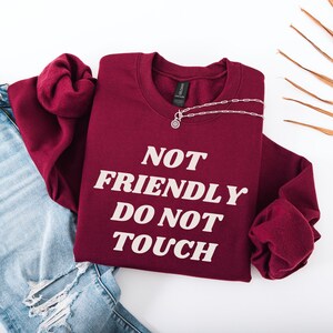 Not Friendly Do Not Touch Funny Sweatshirt, Sarcastive Crewneck, Funny ...