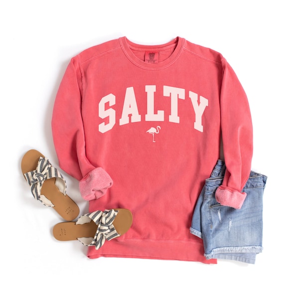 Comfort Colors Salty Sweatshirt, Beach Sweatshirt, Beach Lover Giftful, Summer Crewneck, Vacation Sweatshirt, Beachful Flamingo Shirt,