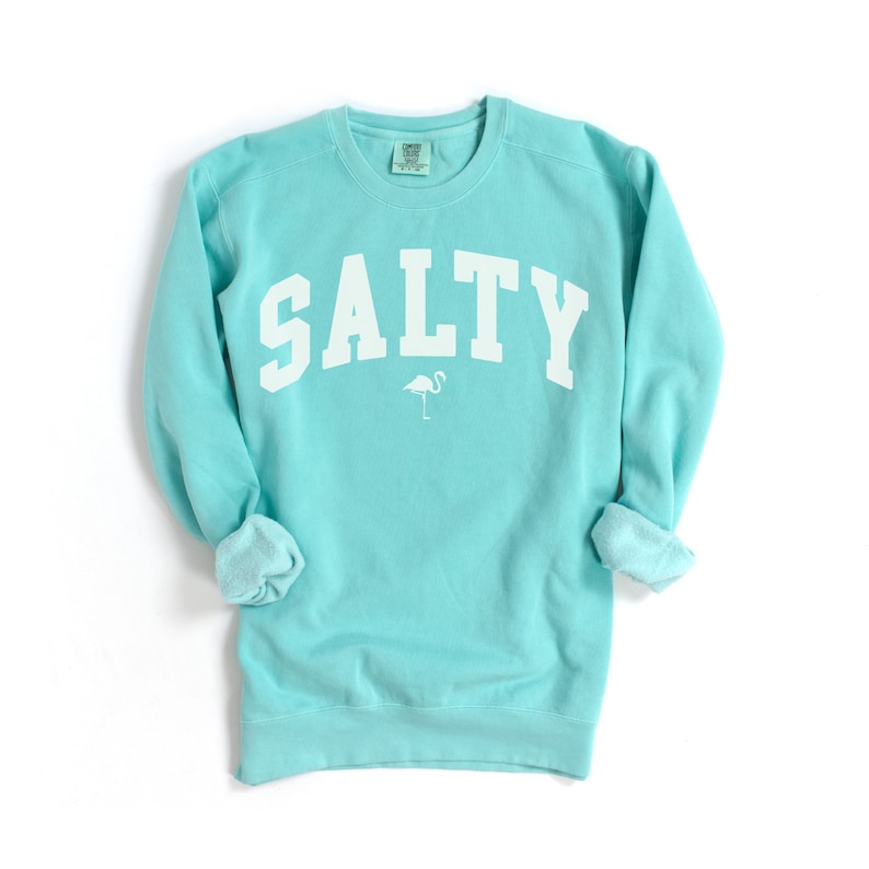 Op de afbeelding: Een turquoise blauwe trui met het woord "SALTY" in wit gedrukt op de voorkant. Een kleine witte flamingo-afbeelding bevindt zich onder het woord.