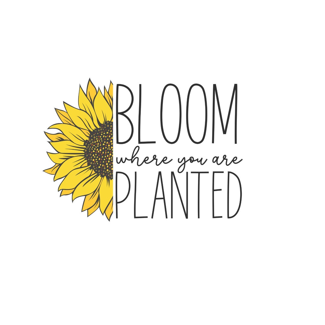 thumbnail image 2 of Bloom Where You Are Planted Embroidery Design 2 of 11