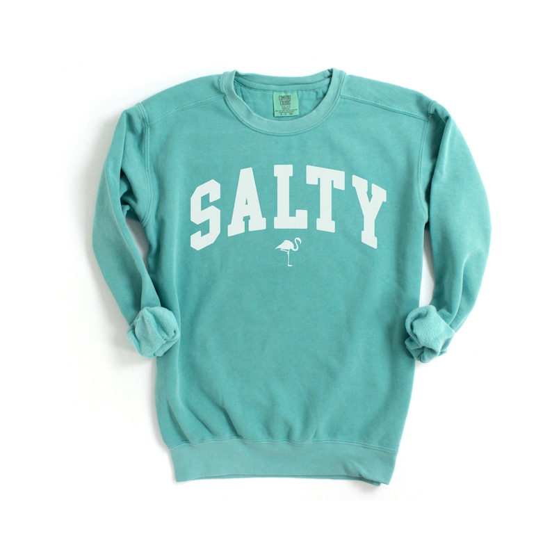 Op de afbeelding: Turquoise blauwe trui met het woord "SALTY" in witte blokletters en een kleine witte flamingo afbeelding onder de tekst.