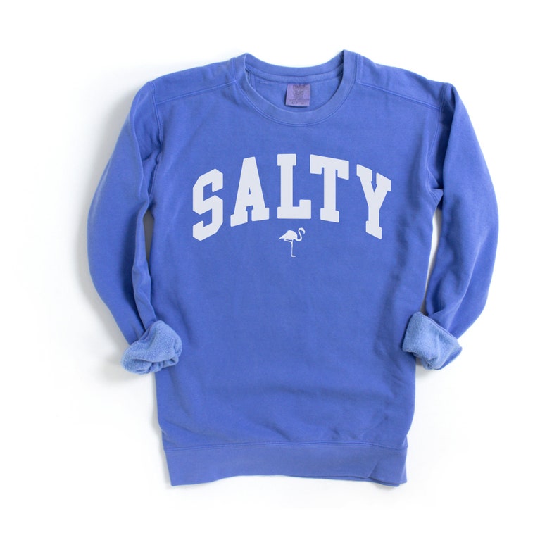 Op de afbeelding: Een blauw sweatshirt met het woord "SALTY" in wit op de voorkant. Een kleine witte flamingo-afbeelding bevindt zich onder het woord.