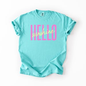Pu&ograve; includere: Una maglietta turchese con le parole "HELLO sunshine" stampate sul davanti. La parola "HELLO" &egrave; in un carattere rosa grassetto e "sunshine" in un carattere giallo corsivo.