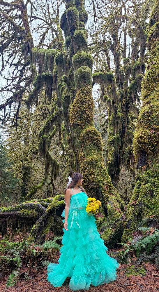 Lace Top and Tulle Skirt Full Length Dress Mint Green