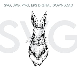 Może przedstawiać: Czarno-biały rysunek liniowy królika z dużymi uszami, patrzącego bezpośrednio na widza.