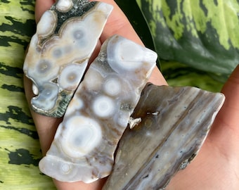 May include: Three pieces of agate, one with a green and white pattern, one with a white and brown pattern, and one with a brown and white pattern.