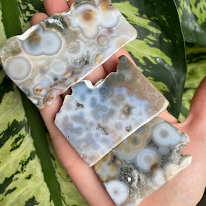 8th Vein Ocean Jasper Polished | Ocean Jasper | 8th Vein Ocean Jasper | 8th Vein Ocean Jasper Slab | Orbicular Jasper | CosmicCaverns |