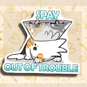 May include: A white, orange, and black cat wearing a blue cone collar with the text "SPAY OUT OF TROUBLE" on a white background.