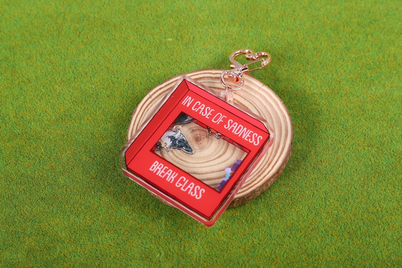 May include: Red acrylic keychain with a clear window that says "In case of sadness, break glass". The keychain is attached to a gold-colored metal ring.