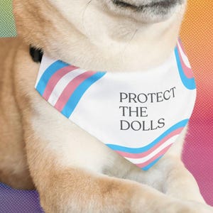 May include: A Shiba Inu dog wearing a white bandana with the text "PROTECT THE DOLLS" and a transgender pride flag design. The dog has tan and white fur and is lying down on a purple surface.