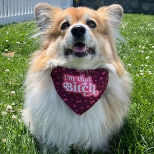 May include: A white ceramic mug with a black handle and the text "But First, Coffee" in a bold, black font. The mug is set against a neutral background, highlighting its simple design.