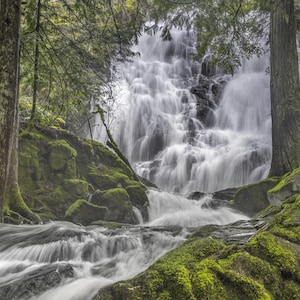 Maryvine Creek Falls near Sooke, B.C.  Forest wall art,  Serene Nature Decor, Waterfall wall art, Waterfall home decor