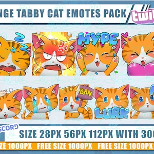 Tabby Cat, Cat emotes, Cat, Squirtle cute emotes, emotes bundle, emote twitch, chibi emotes, Twitch emotes pack9, Cat Twitch emotes, discord