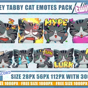 Cat Twitch emotes, Cat emotes, Cat, Squirtle cute emotes, emotes bundle, emote twitch, chibi emotes, Twitch emotes pack9, discord, Tabby Cat