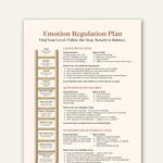 Emotional Regulation Tools