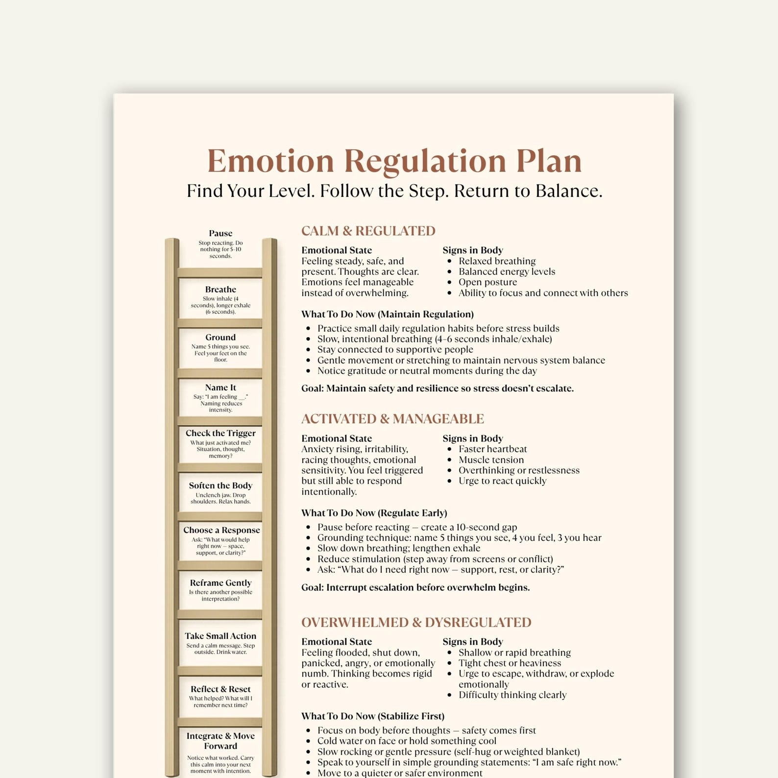 Regulating Emotions Flowchart Emotion Regulation Plan Printable, Nervous System Regulation Cheat ...