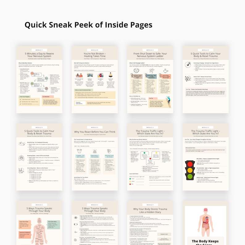 Daily Nervous System Reset Plan – Printable Trauma Recovery Worksheet