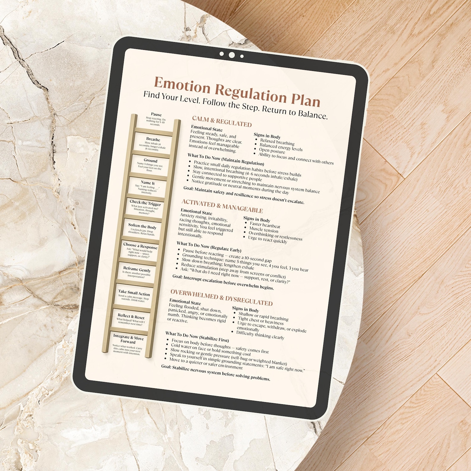 Emotion Regulation Plan Printable, Nervous System Regulation Cheat ...