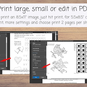May include: A screenshot of a computer screen showing a PDF document with a black and white illustration of a bird on a branch. The document is open in a web browser and the print settings are visible. The print settings include options for printing on both sides of the paper, printing 2 pages per sheet, and scaling the print size.