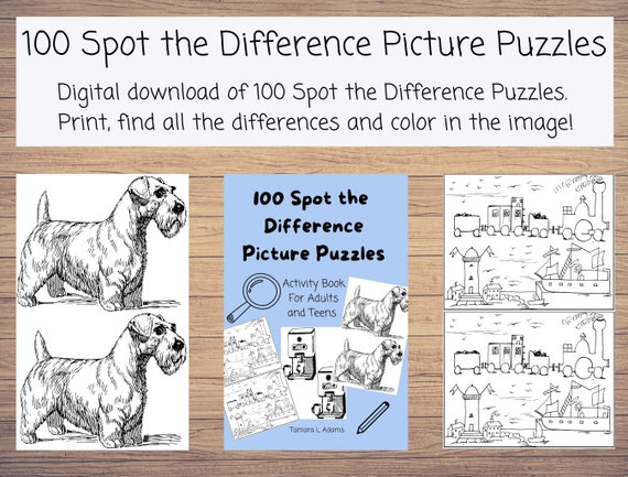 100 Spot the Difference Picture Puzzles Activity Book for | Etsy