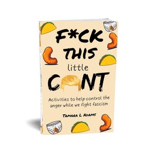 Op de afbeelding: Een boek getiteld "F*ck This Little C*nt" met illustraties van een taco, een luier en een krullende oranje snack. De tekst op de omslag luidt: "Activiteiten om de woede onder controle te houden terwijl we het fascisme bestrijden" door Tamara L. Adams.