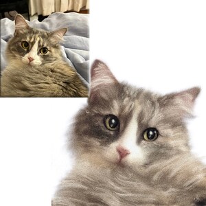 Puede incluir: Primer plano de un gato gris y blanco con ojos verdes. El gato mira directamente a la c&aacute;mara con una expresi&oacute;n curiosa.