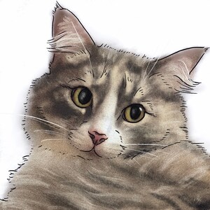 Puede incluir: Un retrato de cerca de un gato atigrado gris con ojos verdes. El gato est&aacute; mirando directamente al espectador con una expresi&oacute;n curiosa. El pelaje del gato es suave y esponjoso, y sus bigotes son largos y prominentes.